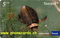 Carte &agrave; puce CP175 - face