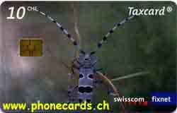 Carte &agrave; puce CP176 - face